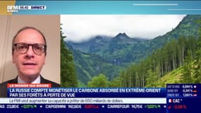 Benaouda Abdeddaïm : La Russie compte monétiser le carbone absorbé en Extrême-Orient par ses forêts à perte de vue - 24/03