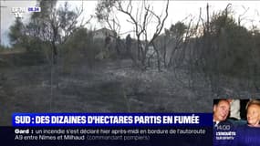 Des dizaines d'hectares partis en fumée après des incendies dans le Gard et l'Ardèche