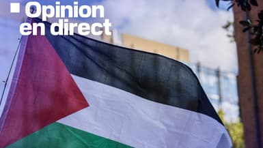 Une personne brandit un drapeau palestinien lors d'une manifestation de soutien à Gaza le 28 juillet 2025.