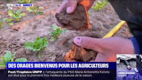 Orages et pluies: un temps bienvenu pour les agriculteurs pour faire face à la sécheresse 