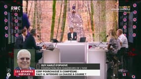 Vidéo d'un cerf pourchassé lors d'une chasse à courre: "Les textes de loi ont été respectés à la lettre"
