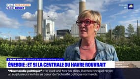 Prix de l'énergie: faut-il redémarrer la centrale thermique du Havre?