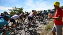 Les coureurs lors de la 13e étape du Tour de France le 15 juillet 2022