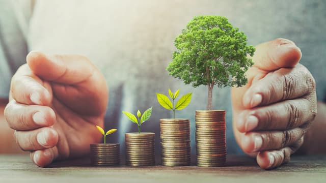 Investissement rural et environnemental