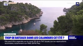 Bouches-du-Rhône: trop de bateaux dans les calanques cet été? 