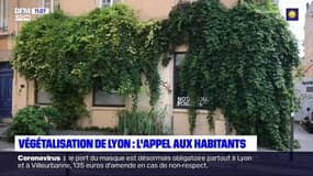 Végétalisation de Lyon: la mairie de Lyon lance un appel aux habitants