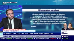 Les questions : est-ce que les fonds euros à dominante immobilière ne vont plus être gérés ? - 24/11