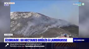 Alpes-de-Haute-Provence: 60 hectares brûlés à Lambruisse