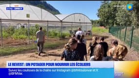 Le Revest : un potager pour nourrir les écoliers 