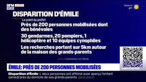 Disparition d'Émile au Vernet: près de 200 personnes mobilisées pour retrouver le garçon