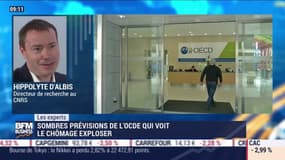 Les Experts: Sombres prévisions de l'OCDE qui voit le chômage exploser - 11/06