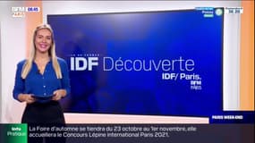 IDF Découverte : fête de la science et visites féministes