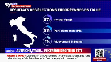 Italie, Allemagne, Autriche, Espagne, Pologne... en Europe, l'extrême droite en nette progression