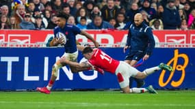 Théo Attisogbe lors de France-Galles le 31 janvier 2025 au Stade de France