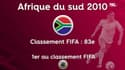 Coupe du monde : le classement FIFA des pays hôtes depuis 1994 (le Qatar ne s'en sort pas si mal)