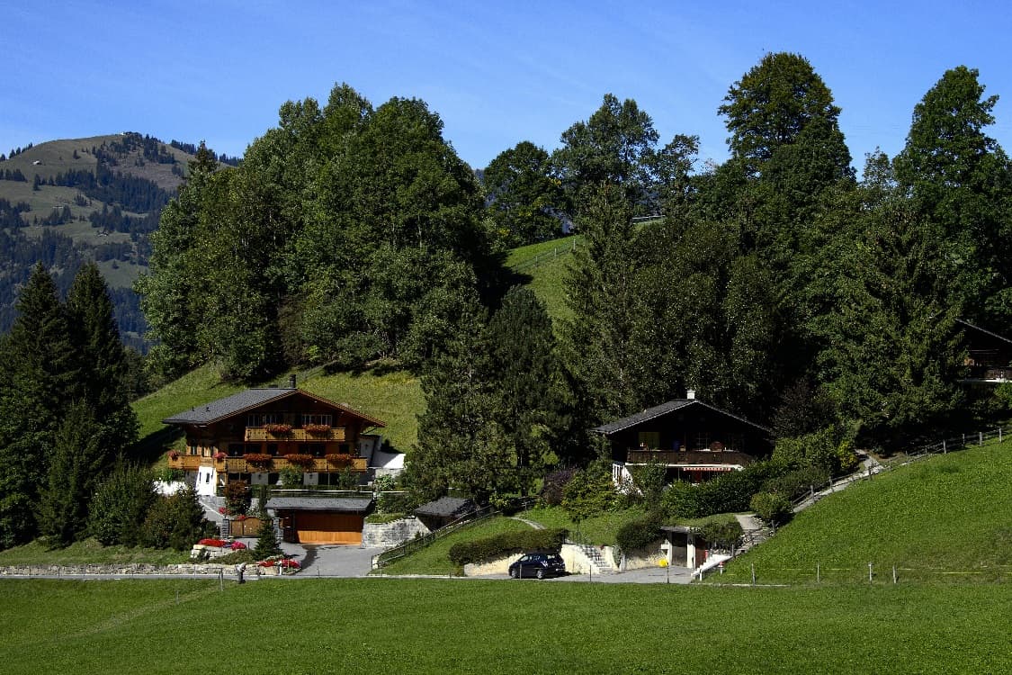 Johnny Hallyday Et Ses Pied A Terre