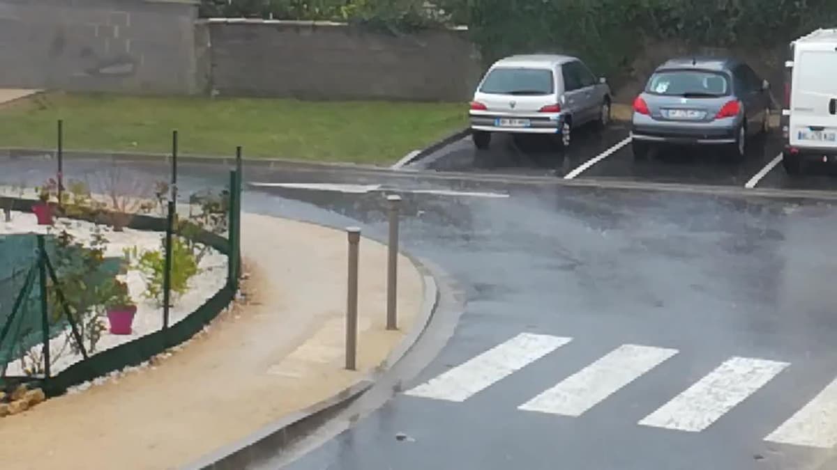 placeholder video