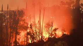 Un incendie à Riverside, en Californie, le dimanche 21 juillet 2024