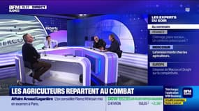 Mercosur : les agriculteurs repartent au combat