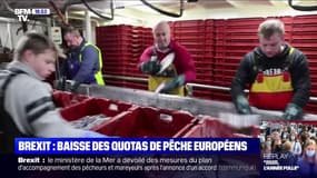 Accord post-Brexit: les pêcheurs Français restent prudents 