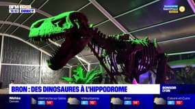Bron : des dinosaures exposés à l'Hippodrome de Lyon-Parilly