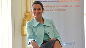 La ministre de la culture reprend un projet du gouvernement précédent