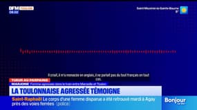 Tueur au parpaing: la Toulonnaise agressée par le suspect témoigne