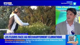 Grasse : les fleurs à parfum face au réchauffement climatique