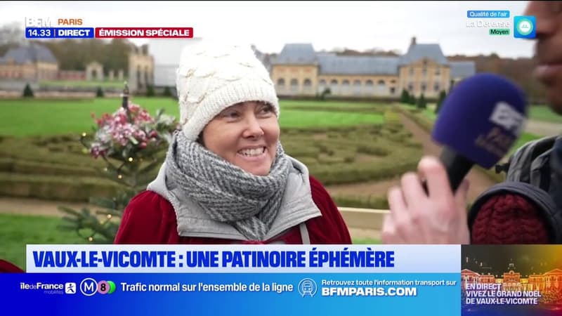 Vaux-le-Vicomte: les visiteurs conquis par le Grand Noël