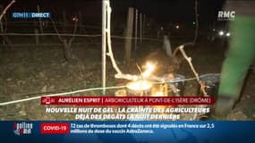 "Une bonne partie de notre production sera par terre dans quelques heures": Les larmes d'Aurélien Esprit, arboriculteur à Pont-de-l’Isère (Drôme) devant les dégâts causés par le gel