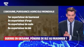 Guerre en Ukraine : pénurie de blé au Maghreb ? - 18/03