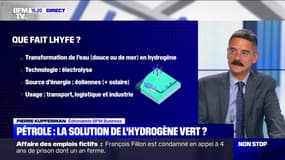 Pour réduire la dépendance au pétrole et au gaz, la solution de l'hydrogène vert ?