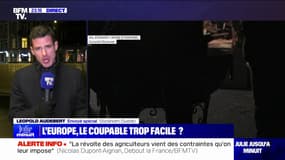 Emmanuel Macron a demandé à ce que les négociations autour du traité de libre-échange entre l'Union européenne et le Mercosur soient arrêtées (entourage à BFMTV)