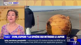 Marie's choice - A UFO or a buoy?  This sphere washed up on a beach intrigues Japan