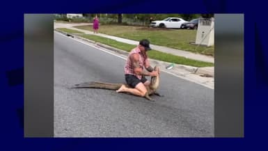 Mike Dragich, un combattant de MMA, en train de saisir à mains nues un alligator dans la ville de Jacksonville en Floride (États-Unis) le 21 avril 2024.