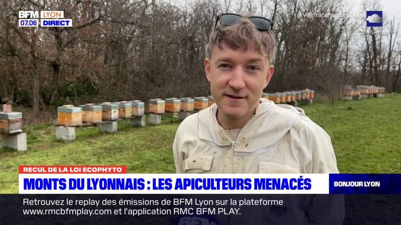 Monts du lyonnais: les apiculteurs produisant du bio sont inquiets pour leur avenir