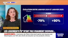 Immobilier: les logements "G", pourtant interdits, transformés en logements "F"?