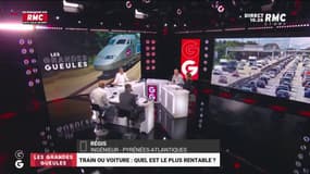  Train ou voiture : Quel est le plus rentable ? Notre auditeur Régis privilégie la voiture 