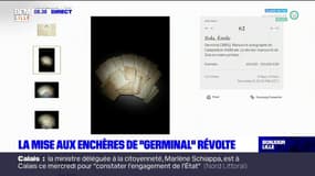 La mise aux enchères de "Germinal" révolte