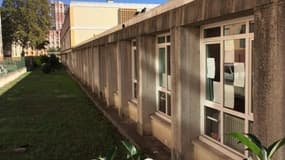 Des rats "gros comme des chats" dans une maternelle de Marseille