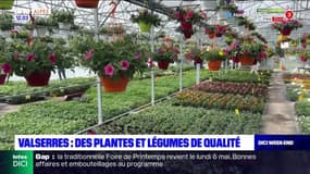 À Valserres, l'horticulture comme affaire de famille chez les Signoret 