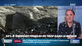 Objectif Terre : 50% d'énergies fossiles en trop dans le monde - 21/11