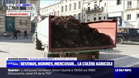 "On nous prend pour des imbéciles": la colère des agriculteurs a investi la place de la Comédie à Montpellier