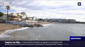 Une extraordinaire douceur sur la Côte d'Azur pour un mois de décembre