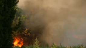 Un incendie dans le Gard (photo d'illustration)
