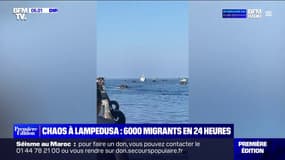 6000 migrants ont débarqué sur l'île italienne de Lampedusa en 24h