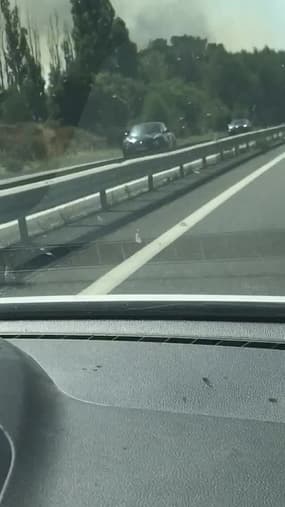 Les flammes aux abords de l'A54 en direction de Nîmes - Témoins BFMTV