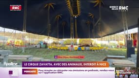 La tension est à son comble à Nice entre le cirque Zavatta et la mairie