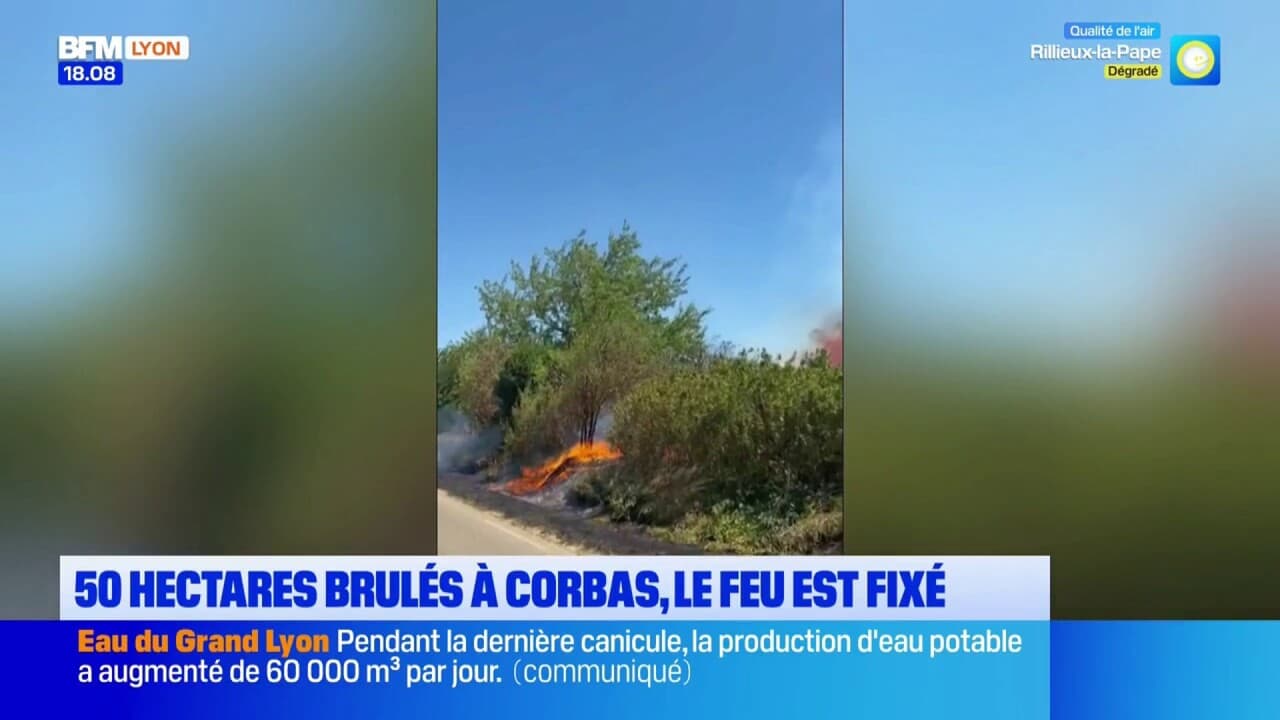 Corbas : 50 hectares brûlés, le feu est désormais fixé