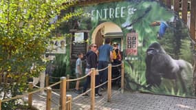 Le zoo de Saint-Martin-la-Plaine, dans la Loire, a rouvert ses portes malgré les dégâts causés par les intempéries. 